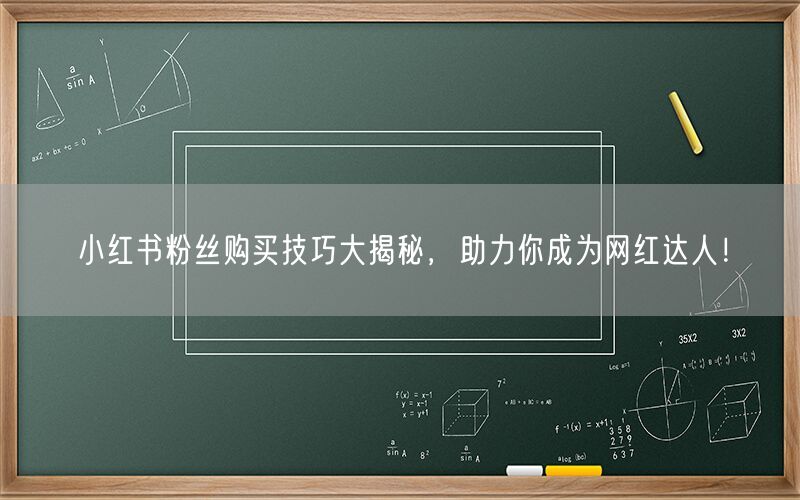 小红书粉丝购买技巧大揭秘，助力你成为网红达人！